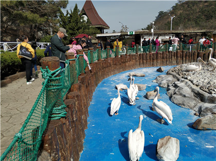 大連森林動(dòng)物園