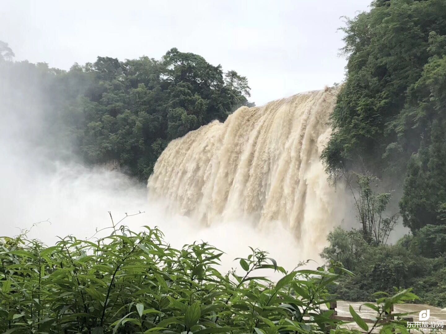 【我想去梵凈山】貴州、荔波小七孔、黃果樹(shù)瀑布、西江千戶(hù)苗寨、梵凈山雙飛六日游