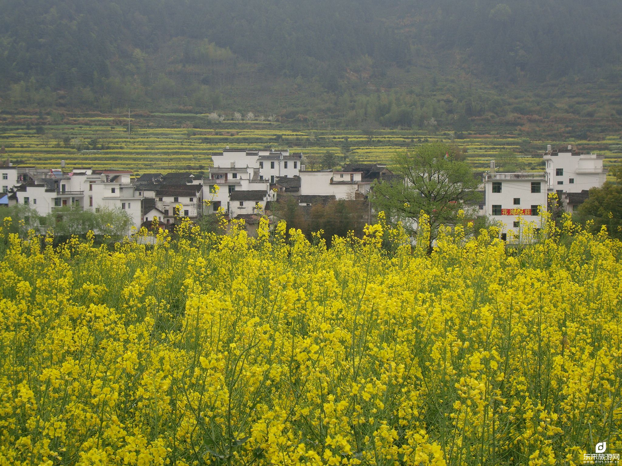 【尊享江西】南昌-望仙谷-三清山-婺源-景德鎮(zhèn)-廬山雙飛 6 日游