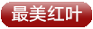 丹東中朝邊境/青山溝/飛瀑澗/虎塘溝/蒲石河森林公園/鳳凰山3日游